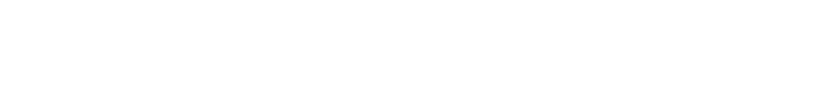 BLM PROJECT
